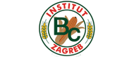 bcinstitut_logo